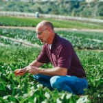 products export from india